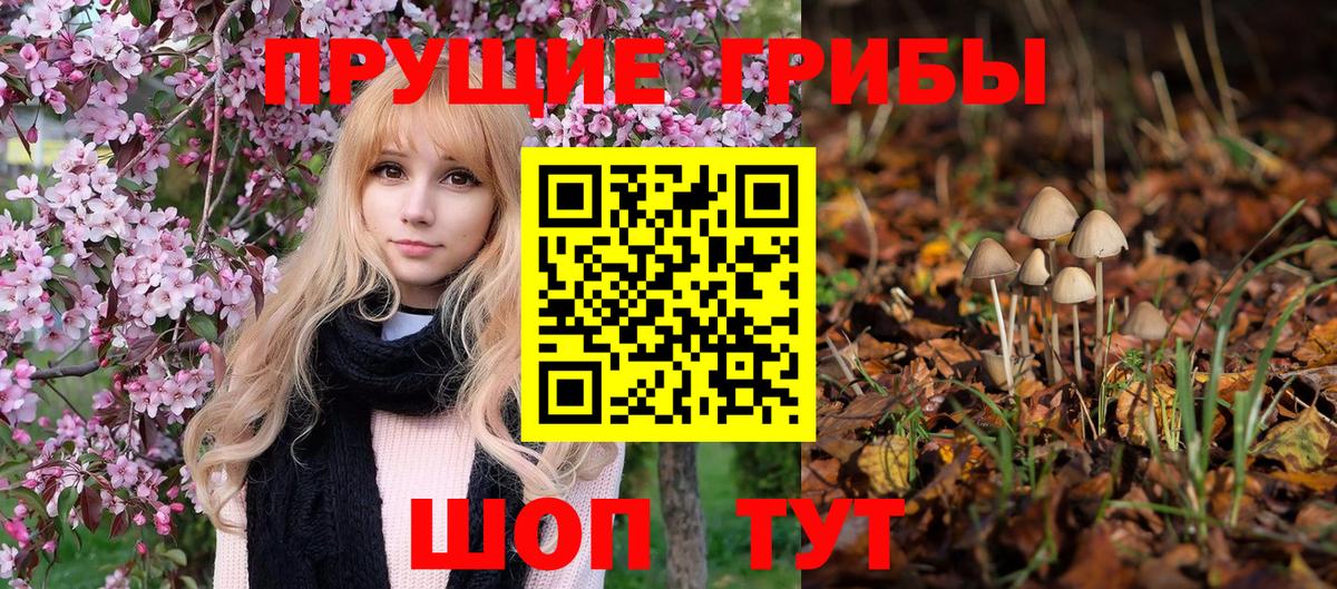 Тара  Галлюциногенные грибы Magic Shrooms  продажа наркотиков  Вход с VPN 